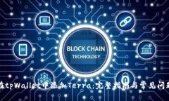 如何在tpWallet中添加Terra：完整指南与常见问题解