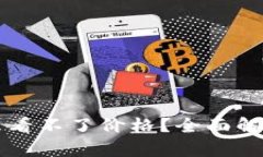 tpWallet怎么看不了价格？全面解析与解决方案