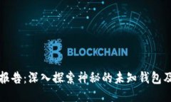 区块链报告：深入探索神秘的未知钱包及其影响