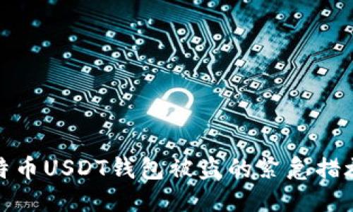 如何应对比特币USDT钱包被盗的紧急措施与预防策略