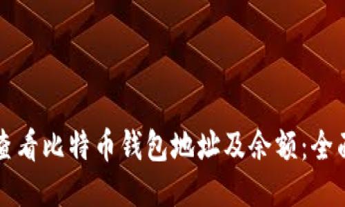 如何查看比特币钱包地址及余额：全面指南