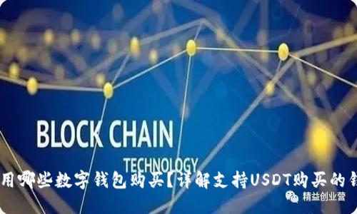 USDT可用哪些数字钱包购买？详解支持USDT购买的钱包选择