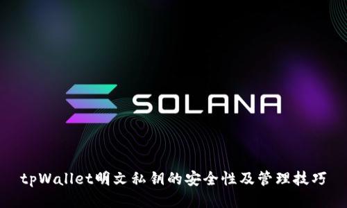 tpWallet明文私钥的安全性及管理技巧