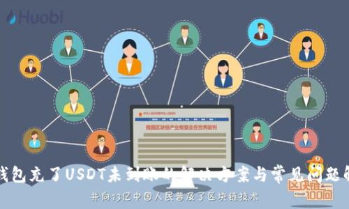 TP钱包充了USDT未到账的解决方案与常见问题解析
