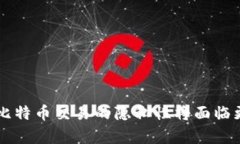 银行级安全性：揭秘比特币钱包的隐私与安全比