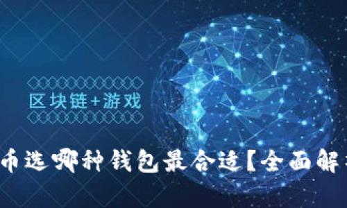  玩比特币选哪种钱包最合适？全面解析及推荐