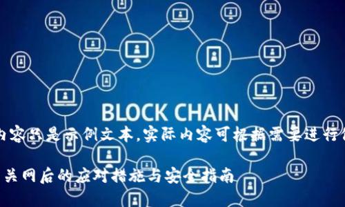 注意：以下内容只是示例文本，实际内容可根据需要进行修改和扩展。

虚拟币钱包关网后的应对措施与安全指南