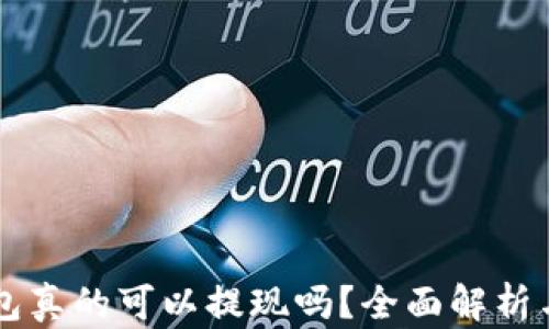 
区块链钱包真的可以提现吗？全面解析与操作指南