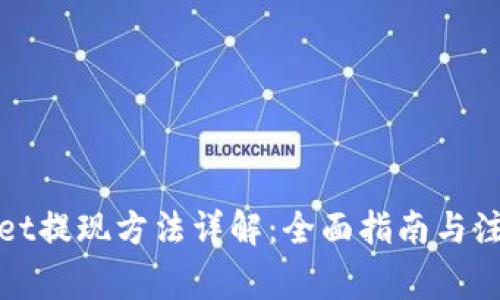 tpWallet提现方法详解：全面指南与注意事项