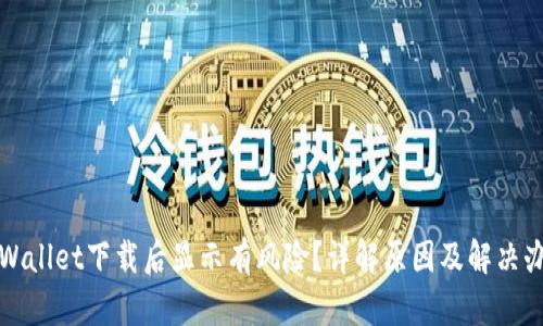 tpWallet下载后显示有风险？详解原因及解决办法