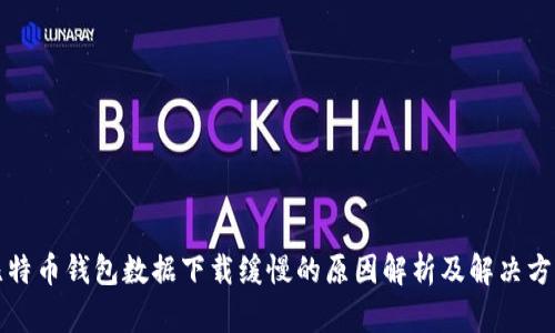 比特币钱包数据下载缓慢的原因解析及解决方案